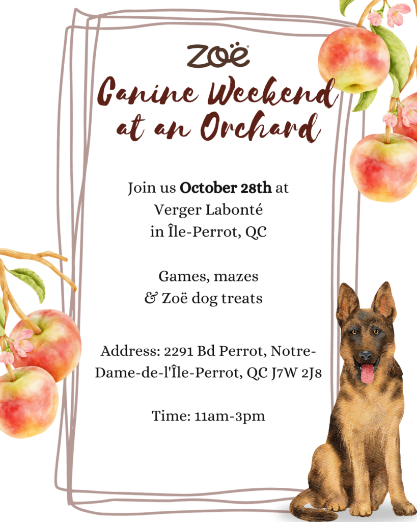 Canine Weekend