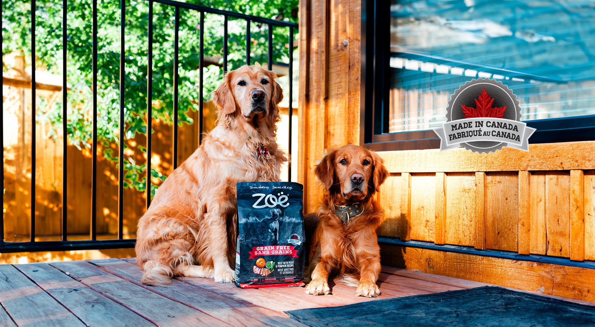 kibble banner3 (1) (1)